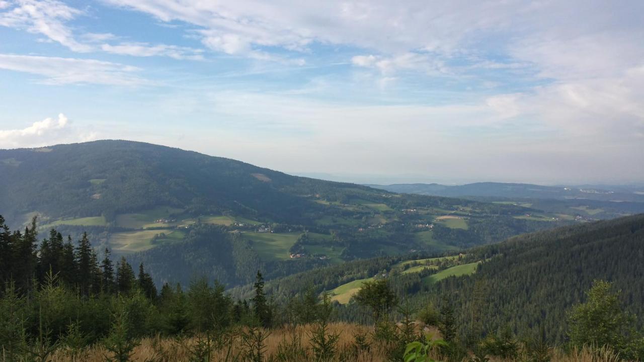 Wald-Panorama-Zimmer Bed & Breakfast Moenichkirchen Exterior photo