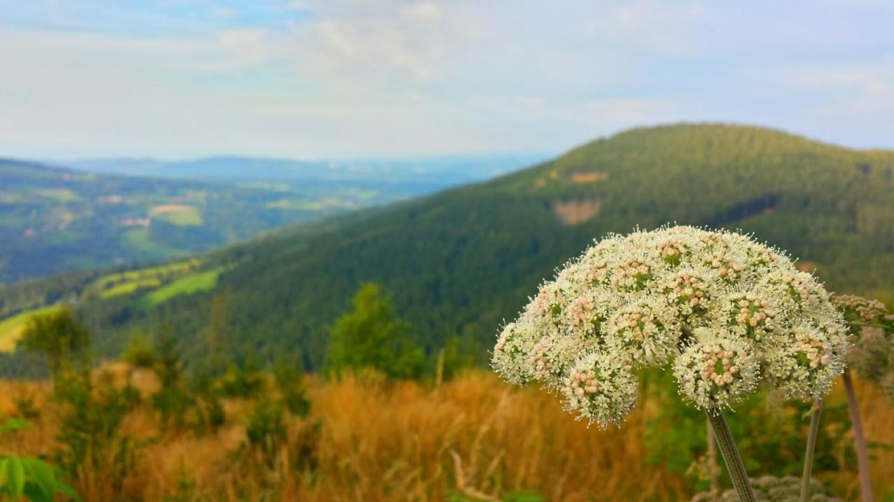 Wald-Panorama-Zimmer Bed & Breakfast Moenichkirchen Exterior photo